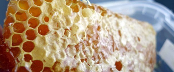 Geneeskracht van honing Lekkerhoning.nl