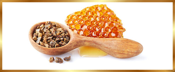 Over-Propolis - Lekkerhoning.nl