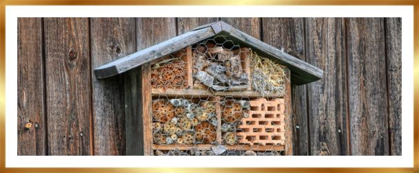 insectenhotel ophangen