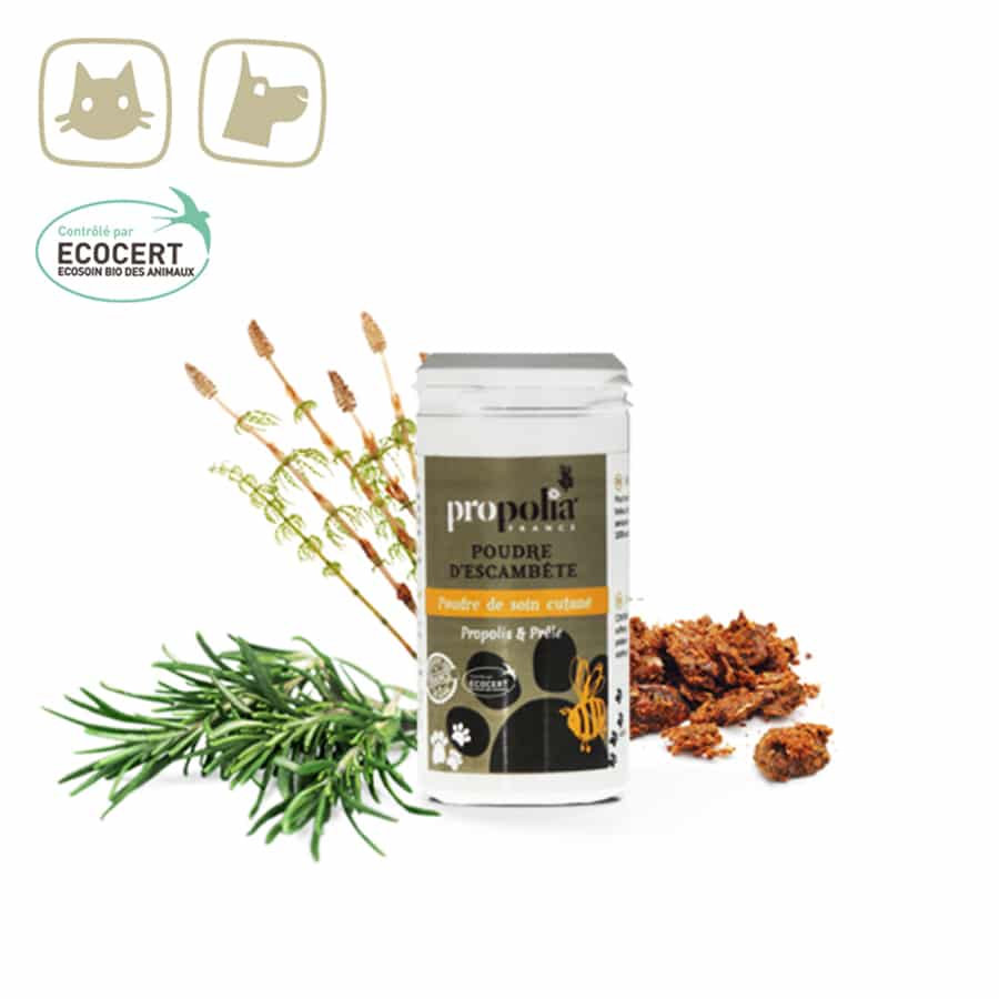 Huidverzorgingspoeder met propolis- Lekkerhoning.nl