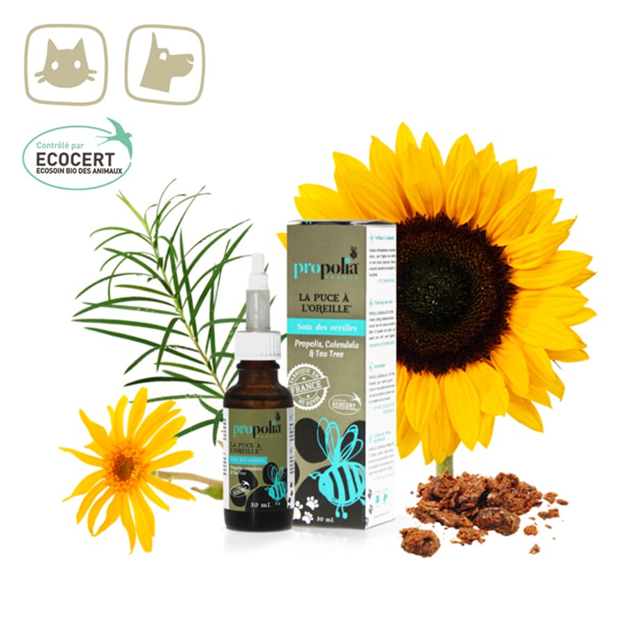 Oorverzorging met Propolis- Lekkerhoning.nl