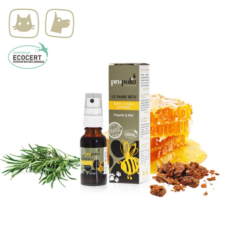 Zuiverende spray Propolis - Lekkerhoning.nl