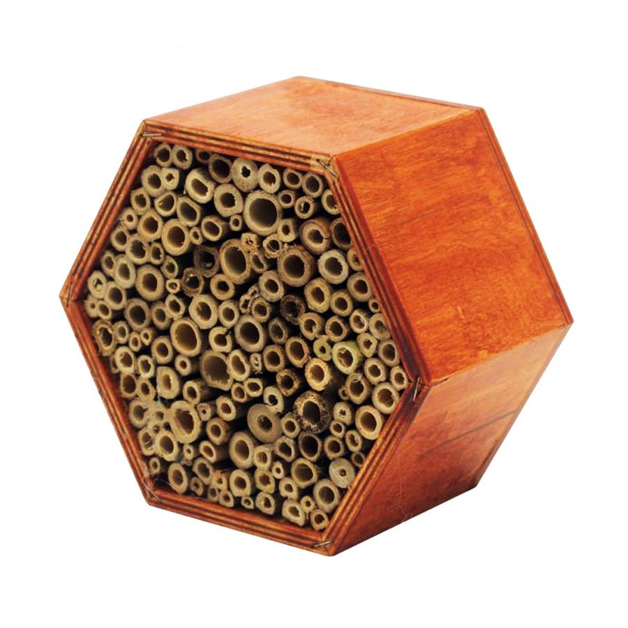 bijenhotel_lekkerhoning