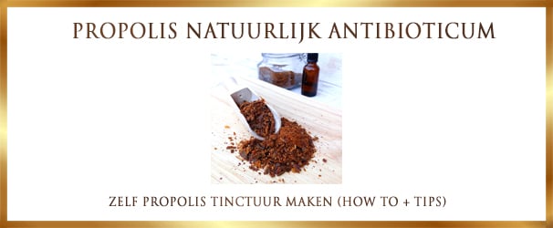 Propolis Tinctuur maken | Benodigdheden + Stappenplan (DIY)