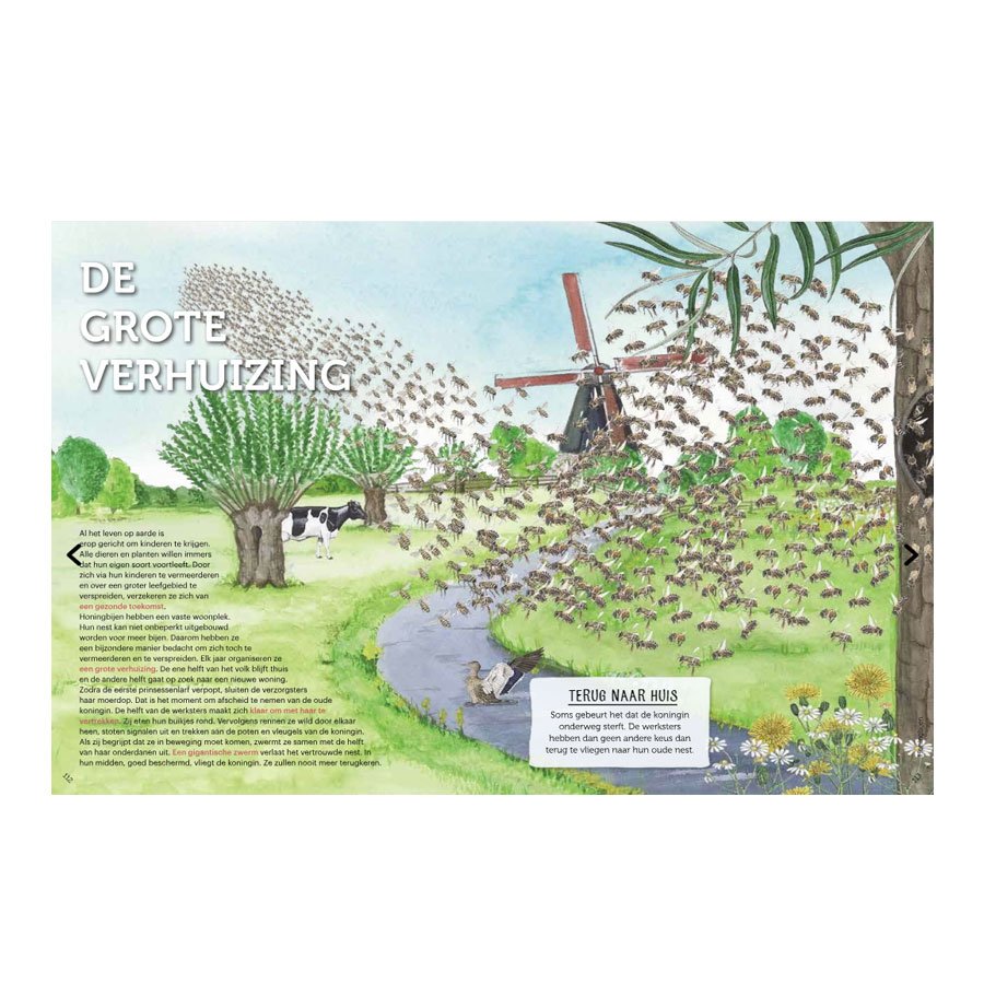 HANDBOEK VOOR BIJENFANS door Gerard Sonnemans - LEKKERHONING.NL