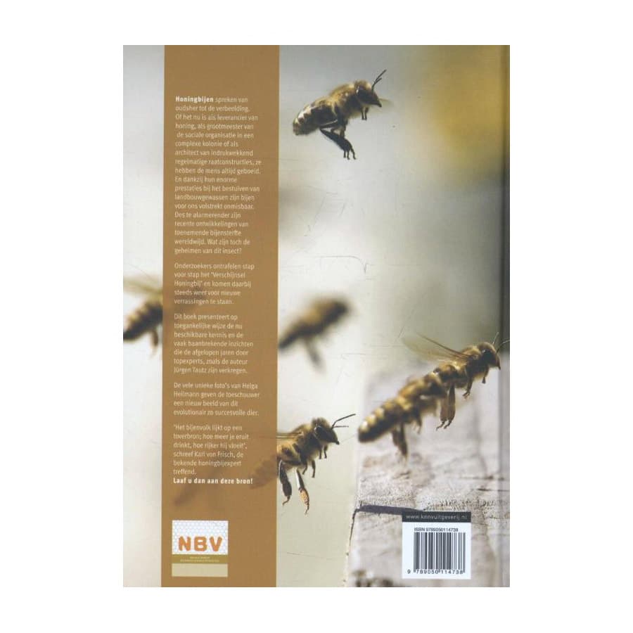 Honingbijen