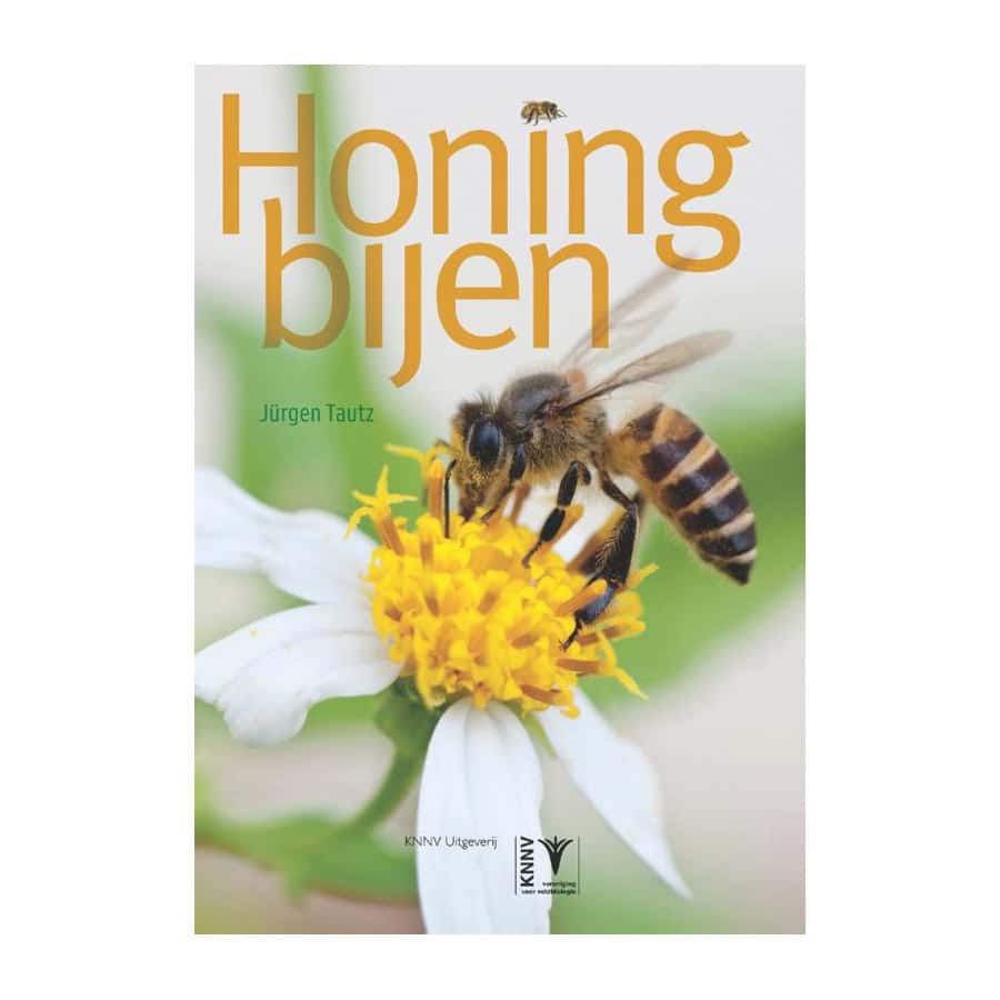 Honingbijen