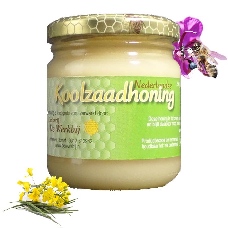 Koolzaadhoning – Zachte Crèmehoning (Neutraal & Perfect Smeerbaar)- Lekkerhoning.nl