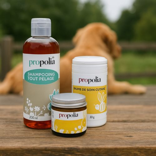 Natuurlijke dierverzorging * Voordeelpakket *- Lekkerhoning.nl