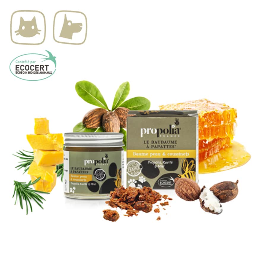 Propolis Balsem voor huid- en voetkussen- Lekkerhoning.nl