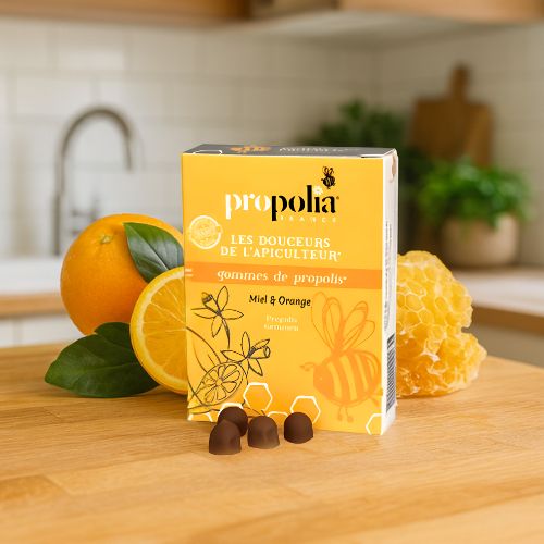Propolis Pastilles Sinaasappel – Gommes de Propolis 45g- Lekkerhoning.nl