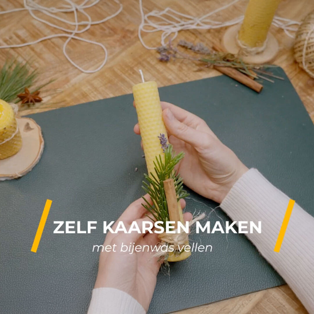 Van bijenwas tot kaars